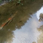 phoca_thumb_m_vp 2.den 34 Fotogalerie